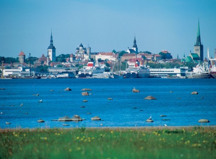 tallin 6