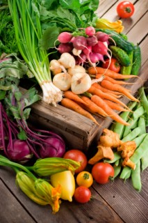 Farmer's Market - Organic Vegetables